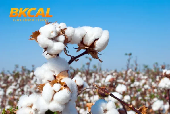 Vải Cotton Là Gì-P (1)